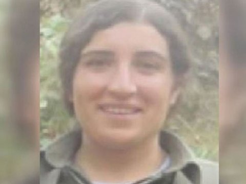 Türkiyə təhlükəli terrorçunu məhv etdi - FOTO