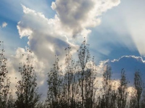 Sabaha olan hava PROQNOZU