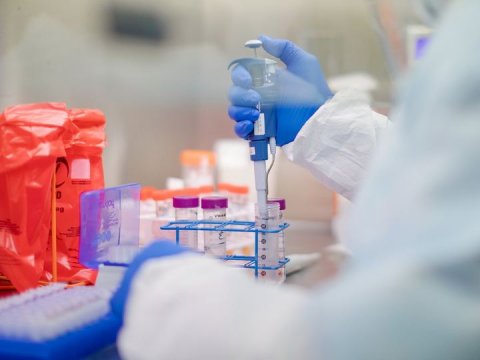 600-dən çox şagird koronavirusa yoluxub 