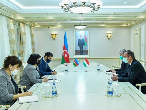 Sahibə Qafarova Macarıstan səfiri ilə görüşüb
