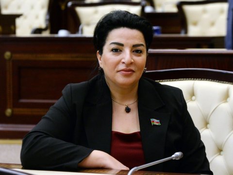 İşğal olunmuş rayonlarda toponimlərimiz tamamilə erməniləşdirilib - Deputat