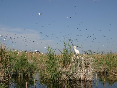 Ermənistan Azərbaycanın təbiətinə qarşı ekoloji terror törədir - FOTOLAR