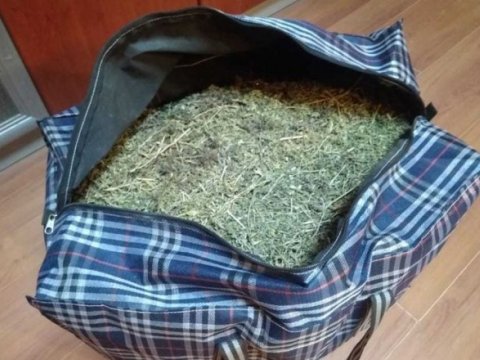 Sabirabad sakinindən 7 kq qurudulmuş marixuana götürüldü