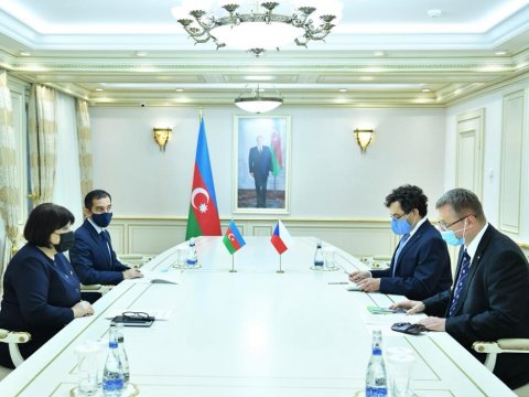 Sahibə Qafarova Çexiya səfirini qəbul edib