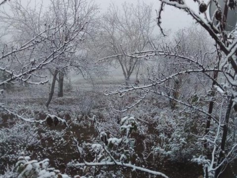Azərbaycana payızın ilk qarı yağdı - FOTO