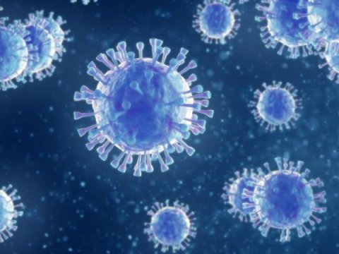Dünyada koronavirusdan ölənlərin dəqiq sayı AÇIQLANDI