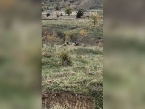 Ağdamı tərk etməyən erməni əsgərlərinə xəbərdarlıq: “Sizin ölümünüz heç nəyi dəyişməyəcək” - VİDEO