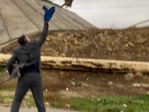 Şahin quşlarını qanunsuz ovlayan əcnəbi SAXLANILDI