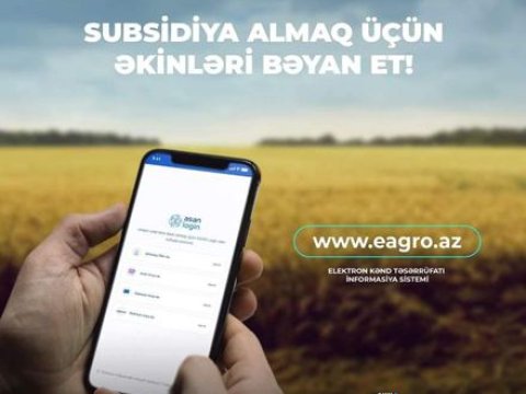 Payızlıq əkinlər noyabrın sonunadək bəyan edilməlidir - Fermerlərə çağırış
