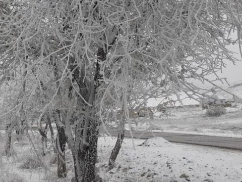 Şamaxıya qar yağıb, yollar buz bağlayacaq 