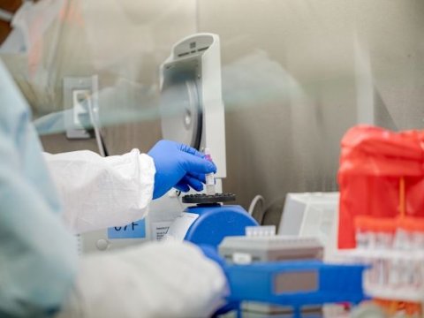 Baş infeksionist karantin müddətinin uzadılmasının səbəbini AÇIQLADI