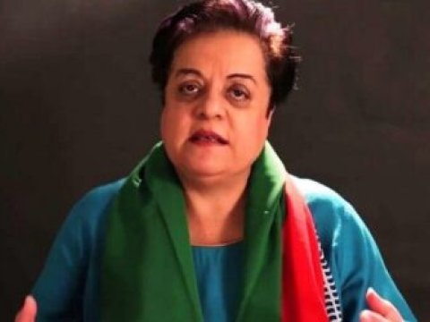 Pakistanlı nazir: “Makron nasistlərin yəhudilərə etdiklərini müsəlmanlara edir”