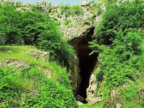 Azıx mağarasına aid arxeoloji tapıntılar Bakıya gətirildi