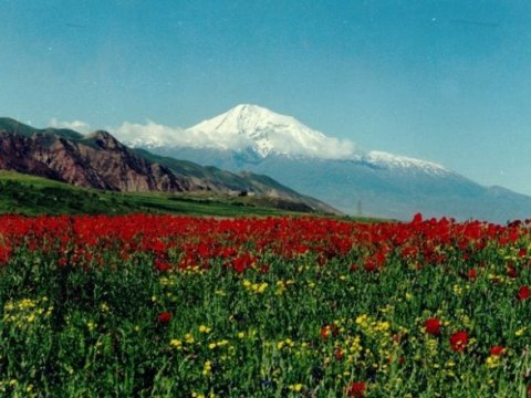 Türkiyə səfirliyindən Kəlbəcər TƏBRİKİ