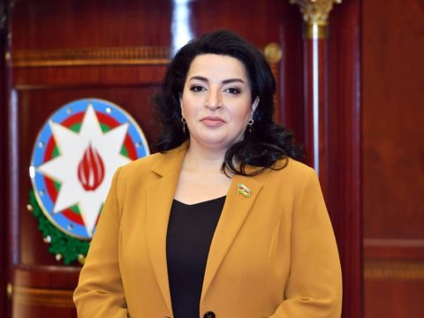 “Makronun “erməni sevgisi” fransız xalqının iradəsi deyil” - Fatma Yıldırım