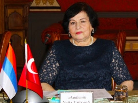 Akademik Nailə Vəlixanlı beynəlxalq təşkilatlara müraciət etdi