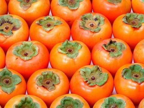 Azərbaycan xurması Slovakiya və Çexiyaya ixrac ediləcək