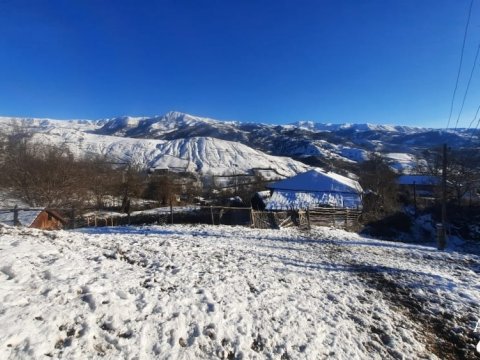 İsmayıllı ağ örpəyə büründü - FOTO