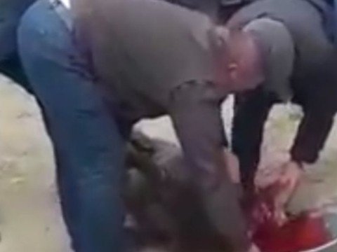 Ata şəhid oğlunu qurbanla qarşıladı - VİDEO  