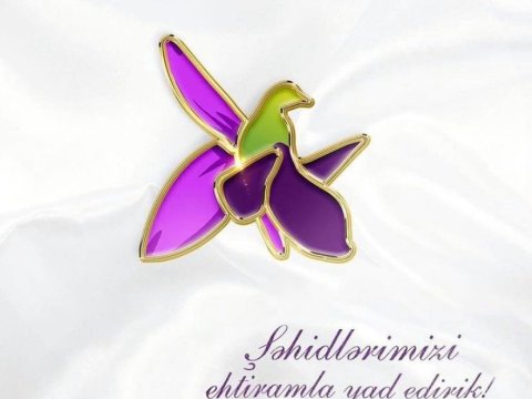 “Şəhidlərimizin qanı nahaq yerə tökülmədi” - Mehriban Əliyeva