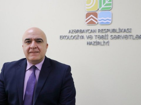 Qusarda ağacların kəsilməsi ilə bağlı araşdırma aparılır