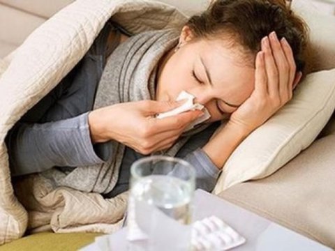 Koronavirus qripdən necə fərqlənir?