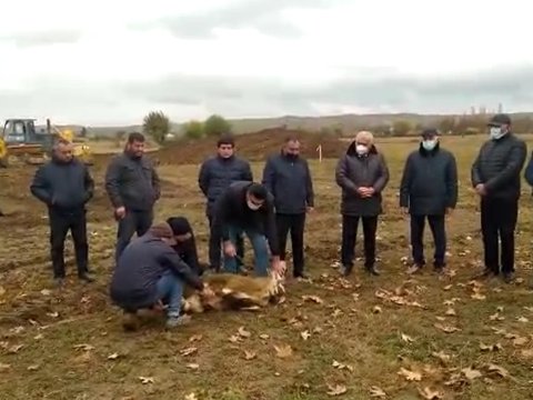 Əhmədbəyli–Füzuli–Şuşa yolunda qurbanlar kəsildi  