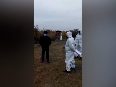 Koronavirus xəstəsi koronavirusdan ölənin dəfnində - FOTOLAR  