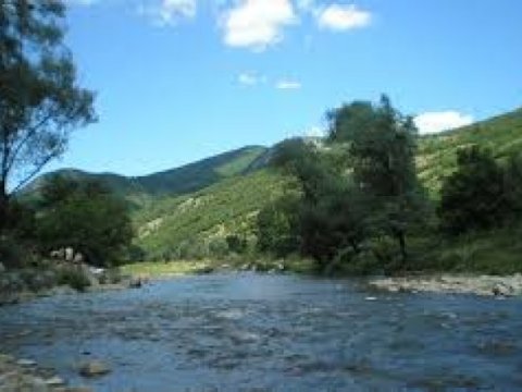 Bu çay və göllərdə ekoloji tarazlıq pozulub