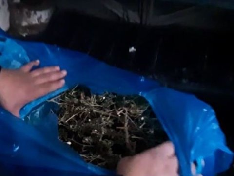 Bərdə sakinindən 8 kq-dan artıq narkotik götürüldü - FOTO
