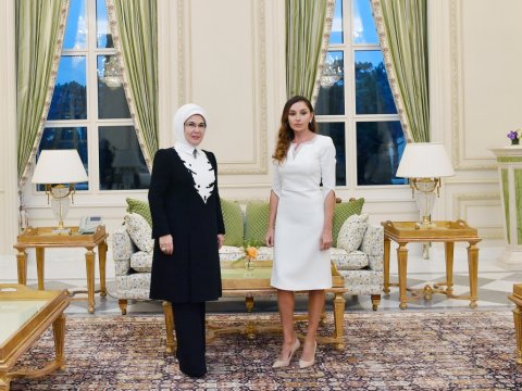 Mehriban Əliyeva Əminə Ərdoğanla görüşdü