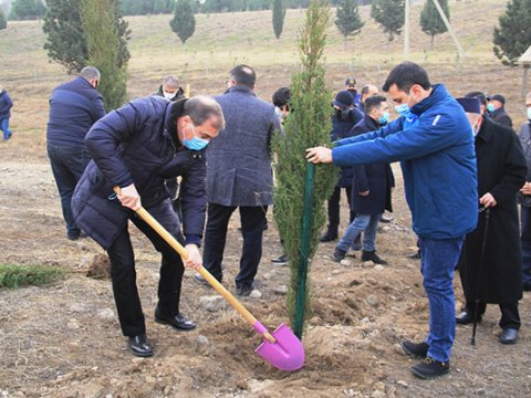 Gəncədə şəhidlərimizin xatirəsinə 2783 ağac əkildi