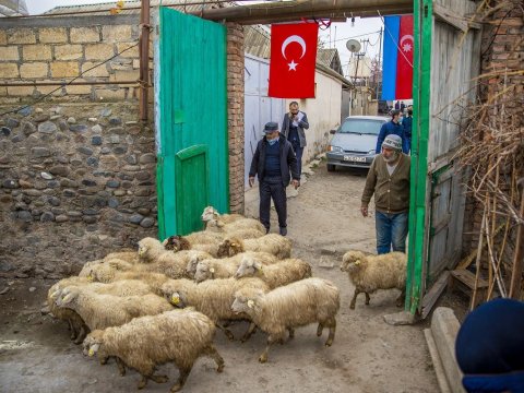 700-dən çox şəhid və qazi ailəsi özünüməşğulluq proqramına cəlb edildi - FOTO