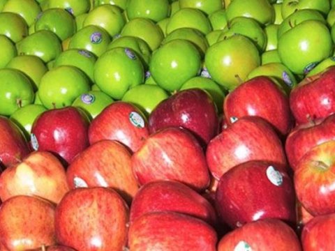 Rusiya Azərbaycandan alma qadağasını götürdü