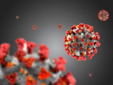 Alimlər koronavirusun yeni mutasiyasına dair məlumatları şərh etdi