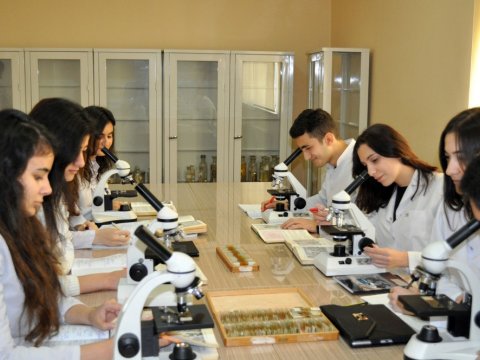Rezidenturanı bitirənlərin təyinat alma vaxtı dəyişdirildi
