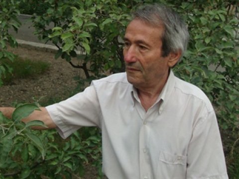 İnsan niyə XƏSTƏLƏNİR? 