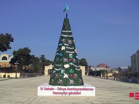 Ağcabədidə şam ağacı azad edilmiş rayonların adı ilə bəzədildi
