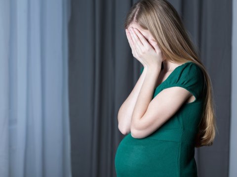 Hər il 15-17 yaş həddində qız uşaqları 3 minə yaxın uşaq dünyaya gətirir - Komitə sədri