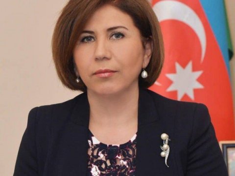 İstanbul konvensiyasının qəbulu ilə bağlı danışıqlar gedir - Bahar Muradova