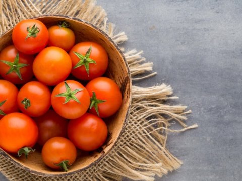 Daha 15 müəssisədən Rusiyaya pomidor ixracına icazə verildi