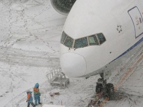 Yaponiyada 140-dan çox aviareys təxirə salındı