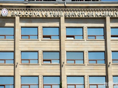 Sıxılmış qazla işləyən maşınlar havanı daha az çirkləndirir - Nazirlik