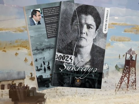 Cavid Zeynallının 