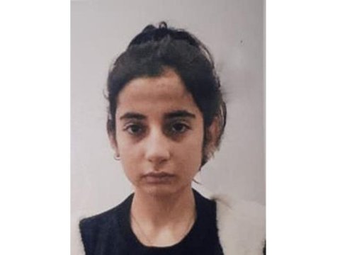 İtkin düşən qız tapıldı, Dövlət Komitəsi onu nəzarətə hgötürdü