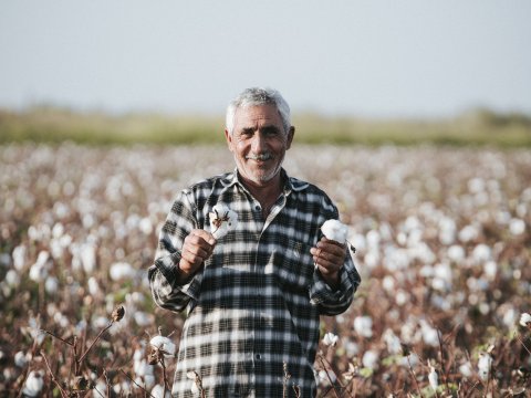 Bitkilərin sığortası üçün müraciətlərin tarixi açıqlandı