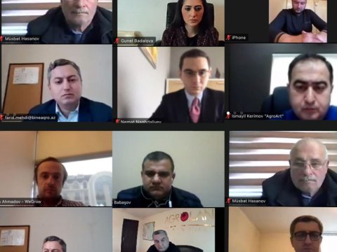Azərbaycan Avropa ölkələrinə pomidor ixrac etməyə hazırlaşır - FOTO
