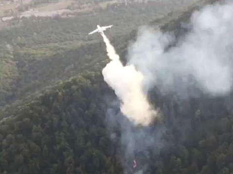 Hirkan Milli Parkındakı yanğına təyyarə cəlb olundu