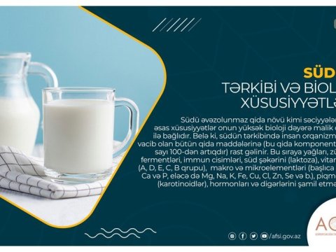 Südün tərkibi və bioloji xüsusiyyətləri - MƏQALƏ