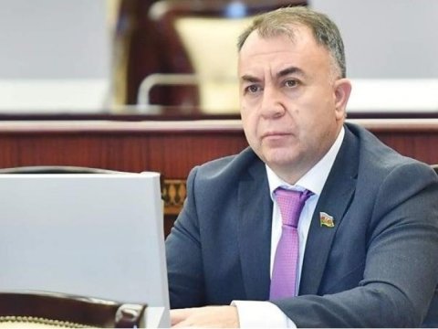 “İnsanlığa qarşı vəhşilik edənlərdən təbiətə, heyvanlara nə mərhəmət gözləyəsən...” - MÜSAHİBƏ 